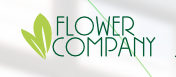 Flower Company – texty na web